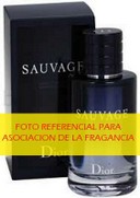 Christian Dior - Sauvage Dior H-42